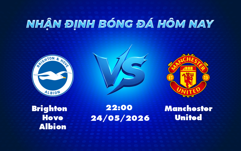 brighton hove albion manchester united 24 05 ngoai hang anh